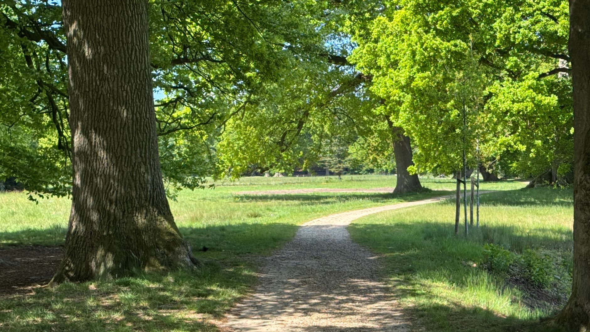 Lutte contre les nuisibles à Metz
